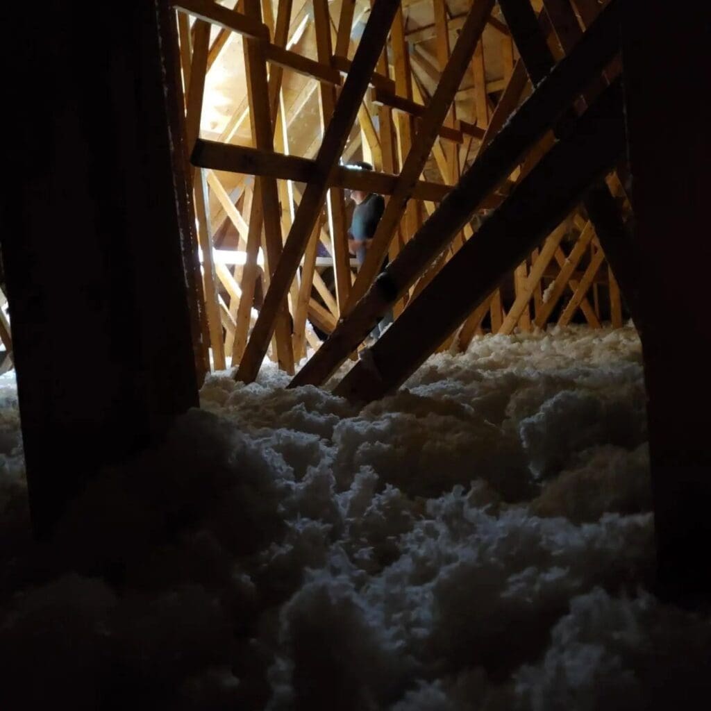 Attic insulation and wooden framework during a professional property inspection.